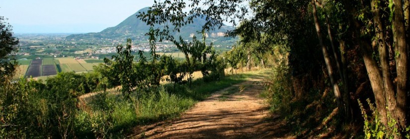 Sentiero del Monte Lozzo n.5