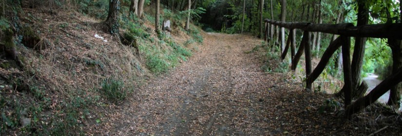 Sentiero del Monte Rosso n.16